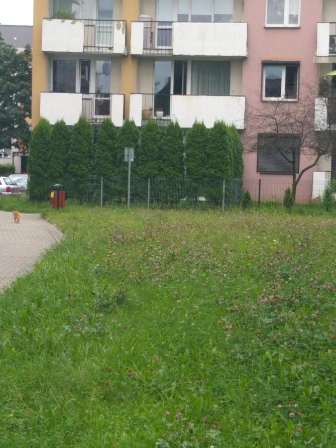 Apartament z ogrodem Tychy Apartament Zewnętrze zdjęcie